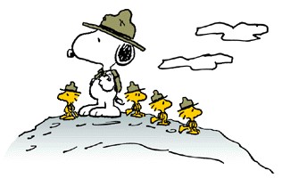 Snoopy scout